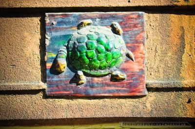 Tychy Osiedle ANNA_fot_Ireneusz KAZMIERCZAK