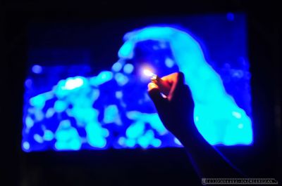 DŻEM - XV Festiwal Muzyczny im. Ryśka Riedla - 27.07.2013