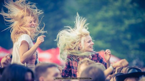 Ku przestrodze - XVI Festiwal im. Ryska Riedla - 26-07- 2014