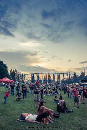 Ku przestrodze - XVI Festiwal im. Ryska Riedla - 26-07- 2014