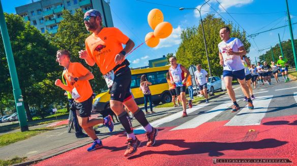 V Tyski Pó³maraton_Miêdzynarodowy Tyski Bieg Uliczny_04.09.2016_Na starcie stanê³o ponad 1000 biegaczy  709 w pó³maratonie i biegu na 10 km. Na mecie Kenijczyk Moses Kipruto Kibire wyprzedzi³ Henryego Kemboi_FOT_IRENEUSZ KAZMIERCZAK.