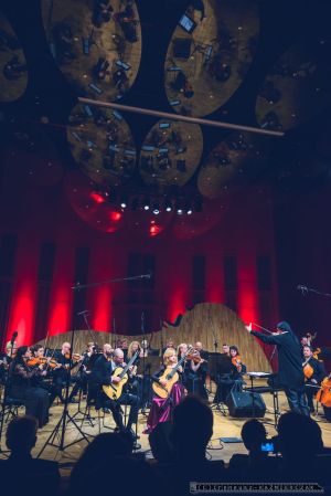 XVI Slaska Jesien Gitarowa - Wygral Marko Topczij z Ukrainy. Drugie miejsce zaj¹³ Polak - Daniel Egielman (po raz drugi z rzêdu i po raz drugi dosta³ nagrodê publicznoci), trzecie - Hedviga Svendova i Davide Giovanni Tomasi.który w poprzedniej edycji zaj¹³ trzecie miejsce. Nagrodê publicznoci (1000 z³) zdoby³ Daniel Egielman.